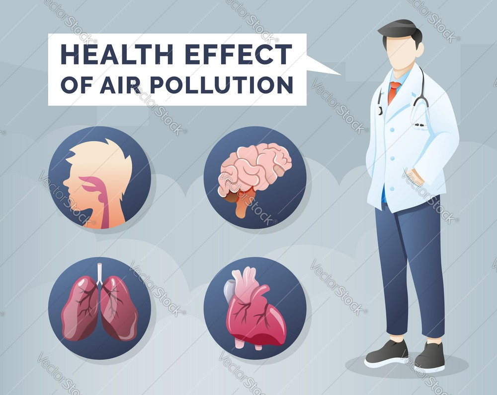 The Effects of High Pollution Levels on Health
