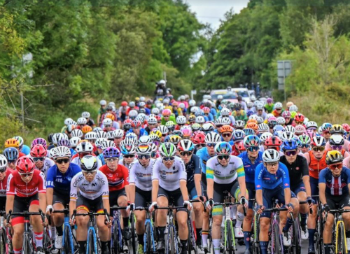 Supplements – Making Informed Decisions