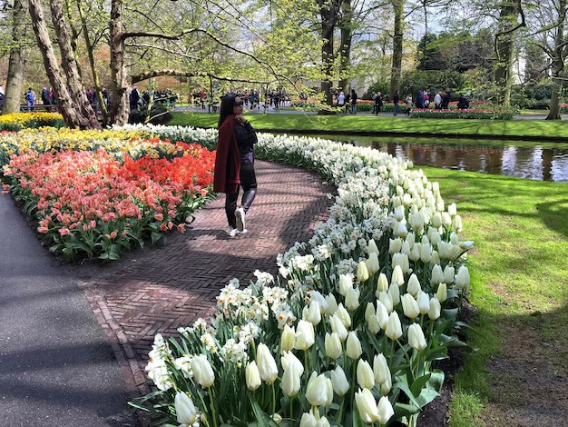 How to Improve Your Health and Fitness This Spring: A Seasonal Guide for All Age Groups