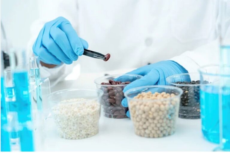 The Growing Need for Stringent Testing of Food Ingredients in India Amid the Rise of Fake Products