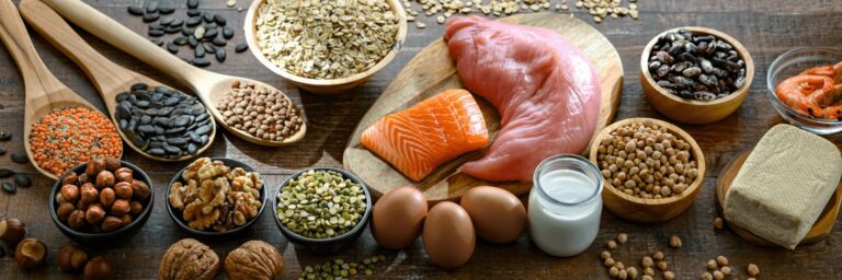Why Do We Need Protein?