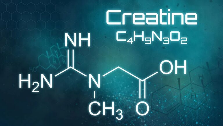 Creatine: The Mighty Amino by Dr. Rob Wildman