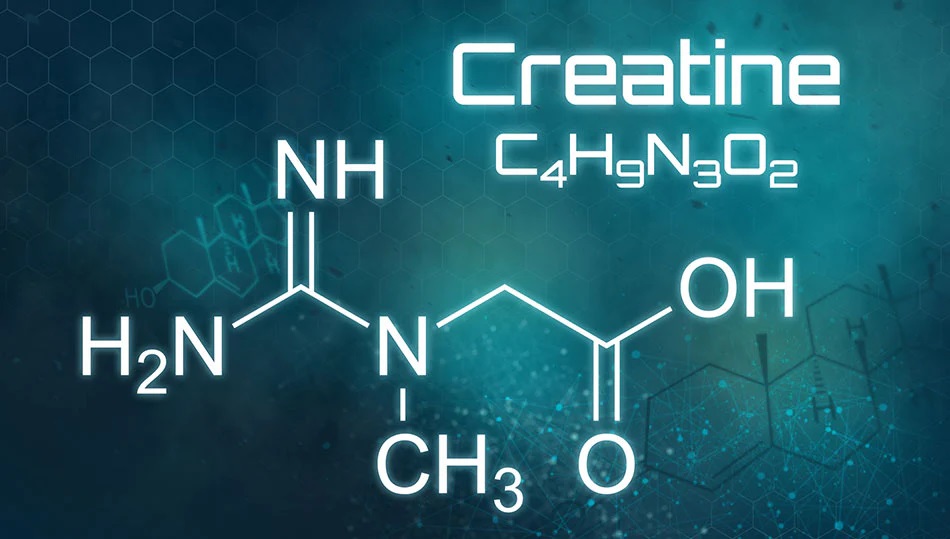Creatine: The Mighty Amino by Dr. Rob Wildman