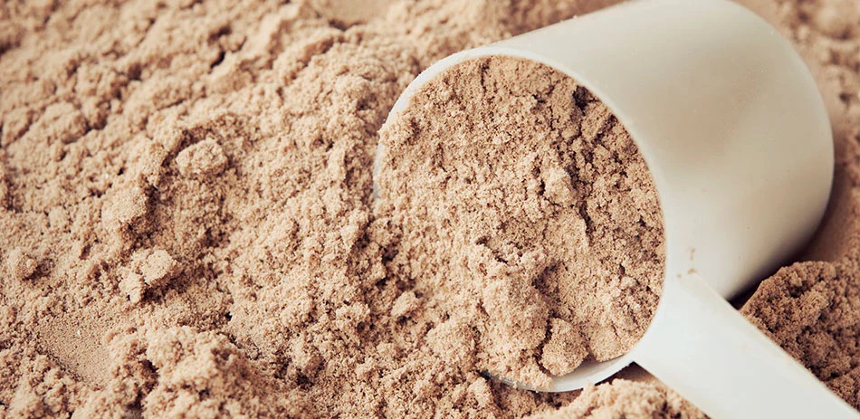 Protein 101 by Dr. Rob Wildman