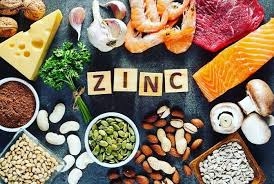 Zinc for Weight Loss: Can 30 mg of Zinc Sulfate Boost Fat Loss?